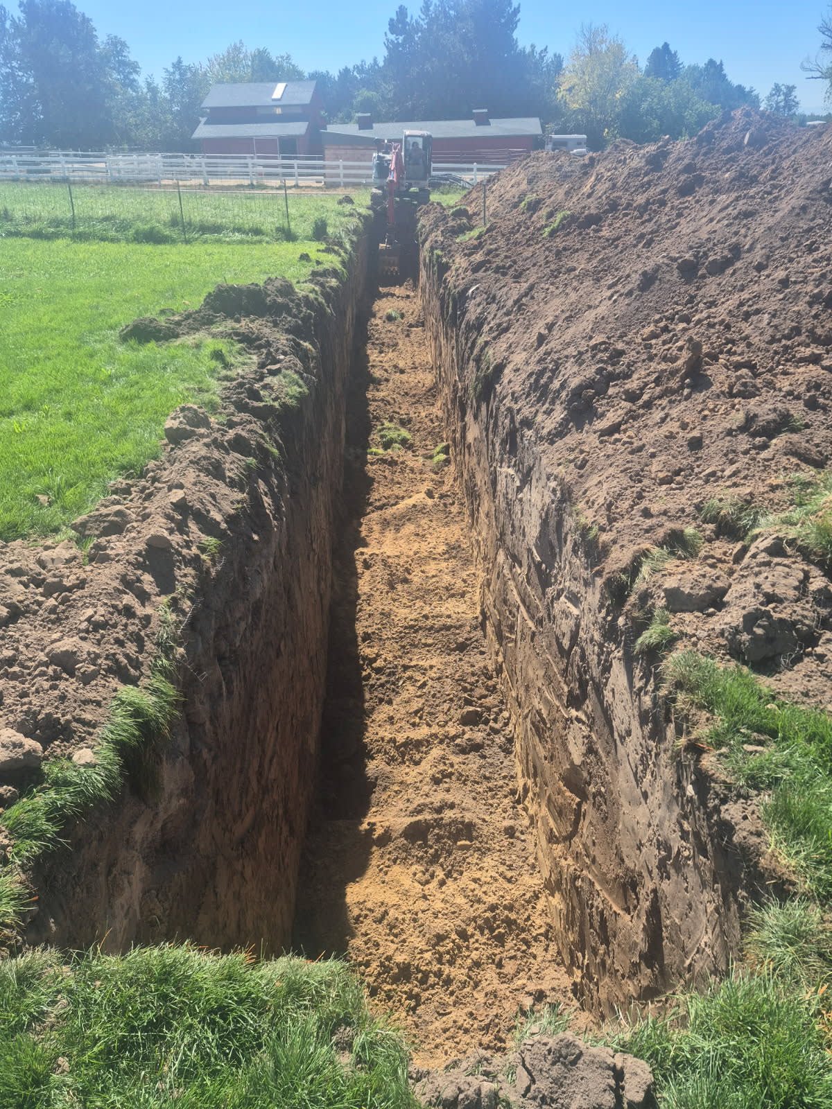 Trenching a new septic line across a Treasure Valley property
